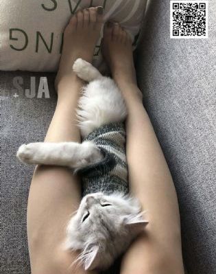 异形魔怪7电影免费观看高清_DVD电影在线看